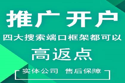 SEM推广技巧：成功案例深度剖析